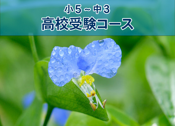 小5~中3 高校受験コース