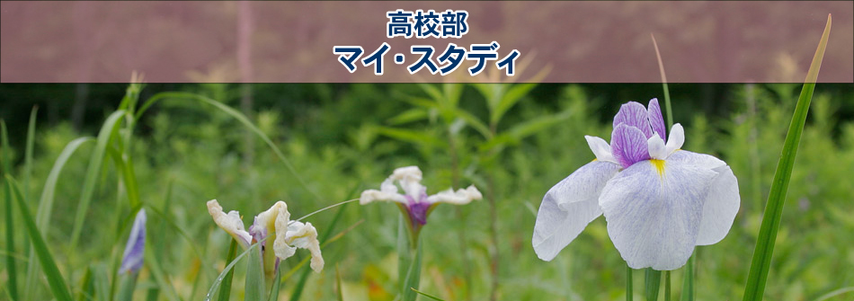 マイ・スタディ 高校部